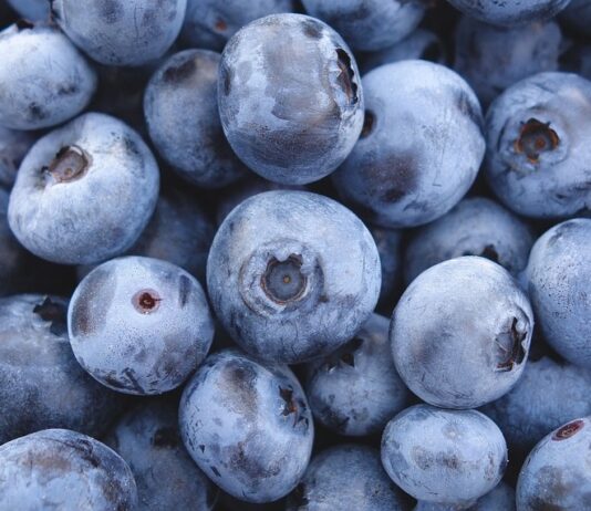 Plantatorzy borówki z Zimbabwe chcą zwiększać eksport do Chin borówki z peru, zimbabwe