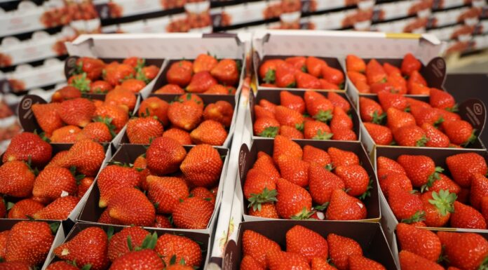 Trendy w uprawie i handlu truskawkami