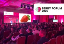 Berry Forum 2025: odkryj przyszłość polskiej truskawki!