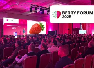 Berry Forum 2025: odkryj przyszłość polskiej truskawki!