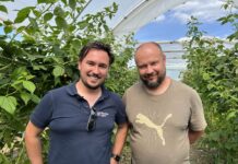 Maliny w glebie i bez pozostałości – ochrona biologiczna w trudnym sezonie