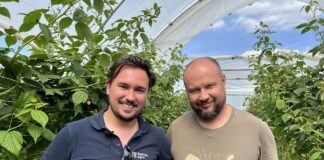 Maliny w glebie i bez pozostałości – ochrona biologiczna w trudnym sezonie