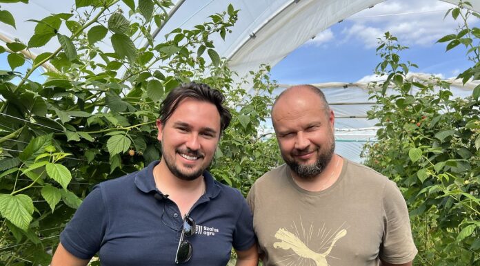 Maliny w glebie i bez pozostałości – ochrona biologiczna w trudnym sezonie