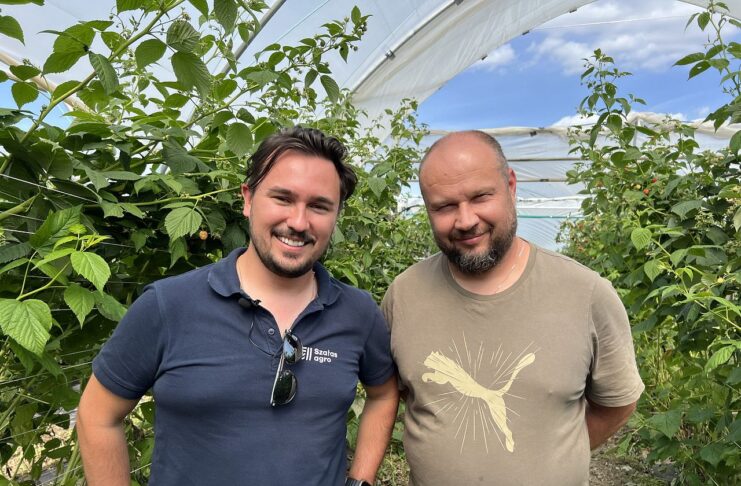 Maliny w glebie i bez pozostałości – ochrona biologiczna w trudnym sezonie