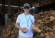 Jak powstają podłoża kokosowe dla jagodowych upraw?