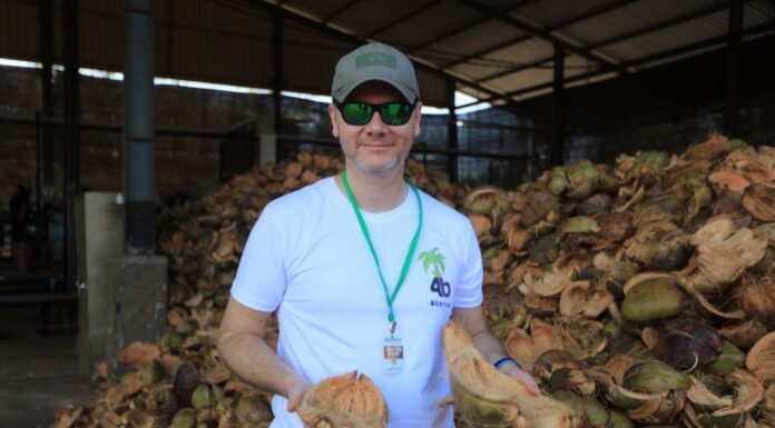 Jak powstają podłoża kokosowe dla jagodowych upraw?