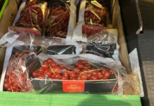 Jeżyny i porzeczki czerwone wciąż dostępne. W jakich cenach (02.10)? jeżyny i porzeczki