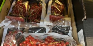 Jeżyny i porzeczki czerwone wciąż dostępne. W jakich cenach (02.10)? jeżyny i porzeczki