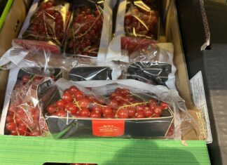 Jeżyny i porzeczki czerwone wciąż dostępne. W jakich cenach (02.10)? jeżyny i porzeczki