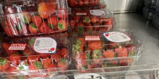 Ceny jagodowych pod koniec października (31.10 – hurt i detal). ceny jagodowych