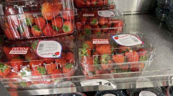 Ceny jagodowych pod koniec października (31.10 – hurt i detal). ceny jagodowych