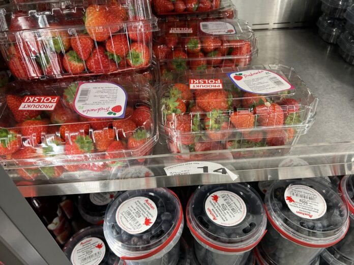 IMG_9853 2_10_31_2025 ceny jagodowych