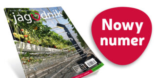 Jagodnik 7/2025 już w sprzedaży! Jagodnik