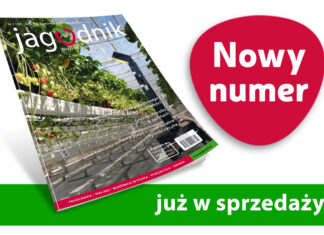 Jagodnik 7/2025 już w sprzedaży! Jagodnik