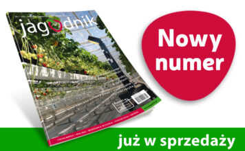 Jagodnik 7/2025 już w sprzedaży! Jagodnik