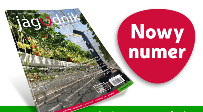 Jagodnik 7/2025 już w sprzedaży! Jagodnik