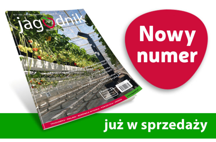 Jagodnik 7/2025 już w sprzedaży! Jagodnik