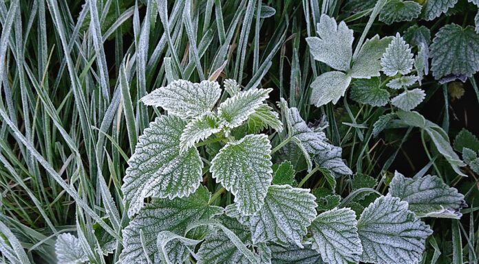 Nadchodzą jesienne przymrozki. Przed nami załamanie pogody przymrozki