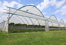 Jakość premium budujemy od pierwszych zabiegów