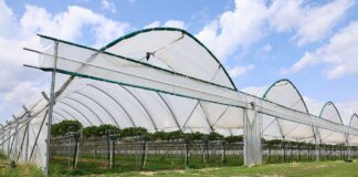 Jakość premium budujemy od pierwszych zabiegów