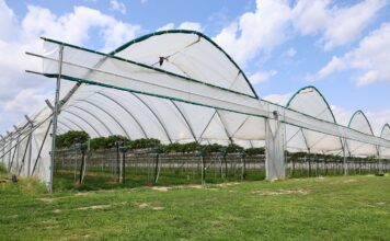 Jakość premium budujemy od pierwszych zabiegów