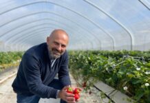 Jak wygląda przyszłość uprawy truskawek? Poznaj doświadczenia eksperta z Wielkiej Brytanii – już 13 listopada!