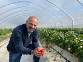 Jak wygląda przyszłość uprawy truskawek? Poznaj doświadczenia eksperta z Wielkiej Brytanii – już 13 listopada!