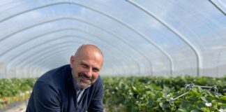 Jak wygląda przyszłość uprawy truskawek? Poznaj doświadczenia eksperta z Wielkiej Brytanii – już 13 listopada!