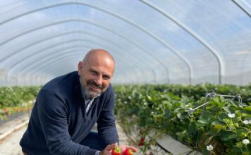 Jak wygląda przyszłość uprawy truskawek? Poznaj doświadczenia eksperta z Wielkiej Brytanii – już 13 listopada!