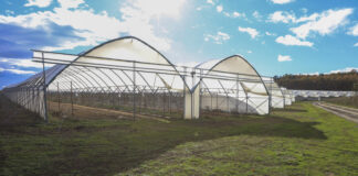 Tunele widmo. Przegrany sezon i straty liczone w setkach tysięcy złotych?