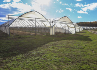 Tunele widmo. Przegrany sezon i straty liczone w setkach tysięcy złotych?