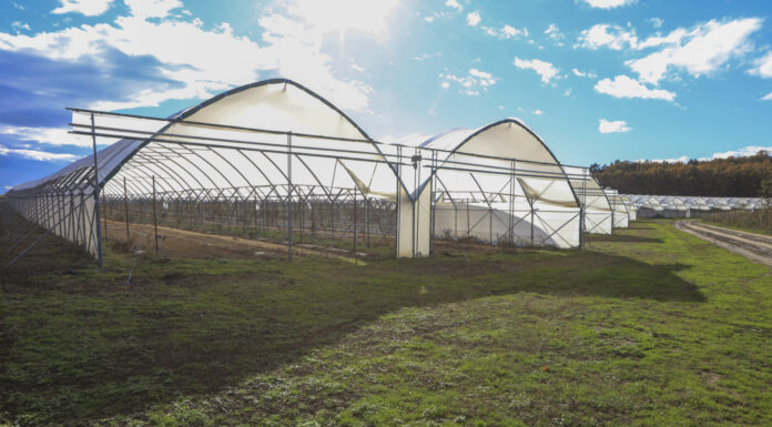 Tunele widmo. Przegrany sezon i straty liczone w setkach tysięcy złotych?