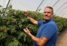 Sezon malinowy zaczyna się z problemami – plantatorzy znów rozczarowani jakością materiału szkółkarskiego Oleg Naumenko