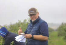 Nowa generacja odmian borówki. Innowacje, które zmieniają plantacje