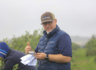 Nowa generacja odmian borówki. Innowacje, które zmieniają plantacje