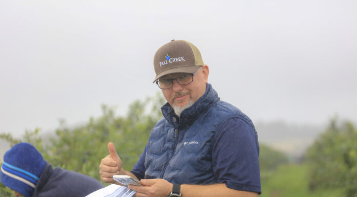 Nowa generacja odmian borówki. Innowacje, które zmieniają plantacje