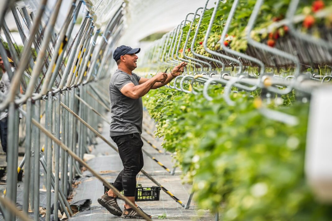 New Forest Fruit June 2021-459