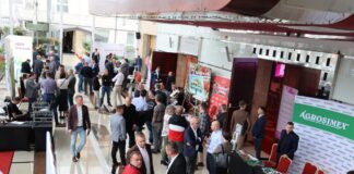 Sponsorzy i Wystawcy Berry Forum 2025 – wiedza, doświadczenie, nowatorskie rozwiązania