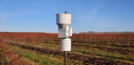 Czujniki i dane, które ułatwiają zarządzanie plantacją