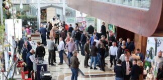 Fachowa wiedza i różnorodne rozwiązania