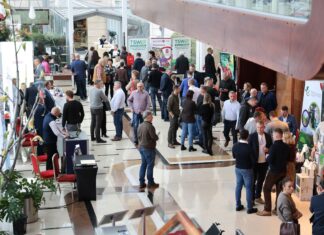 Fachowa wiedza i różnorodne rozwiązania