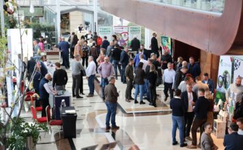 Fachowa wiedza i różnorodne rozwiązania