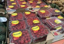 Truskawki, borówki i maliny polecają się na święta! Sprawdzamy ceny truskawki, maliny, borówki na święta