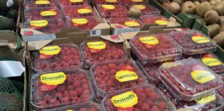 Truskawki, borówki i maliny polecają się na święta! Sprawdzamy ceny truskawki, maliny, borówki na święta