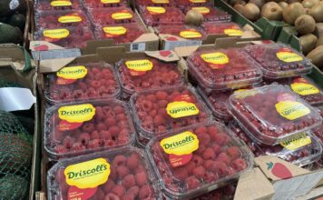 Truskawki, borówki i maliny polecają się na święta! Sprawdzamy ceny truskawki, maliny, borówki na święta