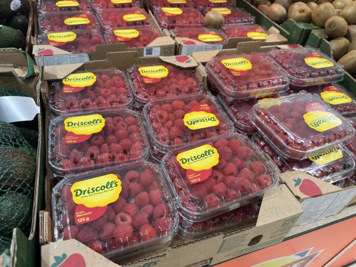 truskawki, maliny, borówki na święta