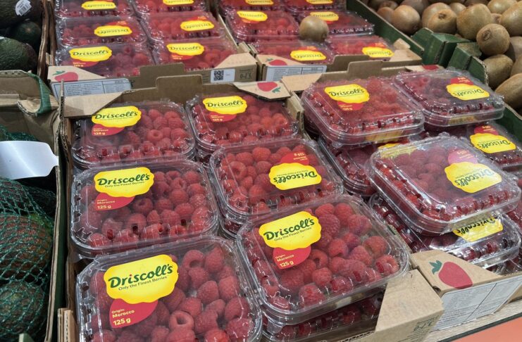 Truskawki, borówki i maliny polecają się na święta! Sprawdzamy ceny truskawki, maliny, borówki na święta