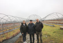 Zakładanie plantacji borówki w gospodarstwie Jerzego Wilczewskiego. Co się zmieniło w ostatnich latach?