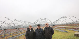 Zakładanie plantacji borówki w gospodarstwie Jerzego Wilczewskiego. Co się zmieniło w ostatnich latach?