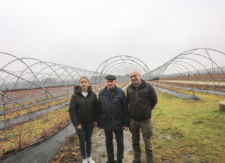 Zakładanie plantacji borówki w gospodarstwie Jerzego Wilczewskiego. Co się zmieniło w ostatnich latach?
